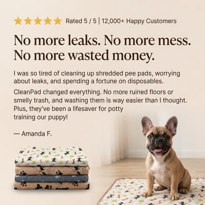 CleanPad™ - The Last Pee Pad You'll Ever Need